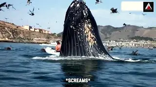 100 Real Life Shocking Moments Caught on Camera&ndash; You Won&rsquo;t Believe What Happens Next