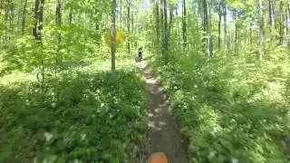 Wolverine Michigan tomahawk trail