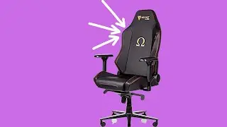 Secretlab Omega Back Support | what to expect after 6 months of use