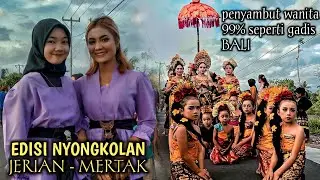 EDISI NYONGKOLAN || PENYAMBUT WANITA 99% SEPERTI GADIS BALI DAN DI IRINGI 3 GENDANG BELEK