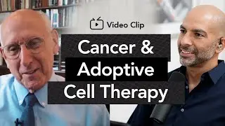 The promise of adoptive cell therapy  | Peter Attia, M.D. & Steven Rosenberg, M.D., Ph.D.