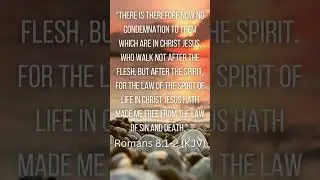 There is NO More Condemnation ~ Romans 8:1-2 #biblereading #shorts #romans