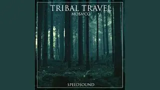 Tribal Travel (Original Mix)