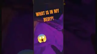 WHAT IS IN MY BED?!?
