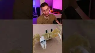 VA&Scaron;E D&Aacute;VKA USPOKOJEN&Iacute; #64 😍