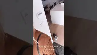 Laura Vandervoort stories