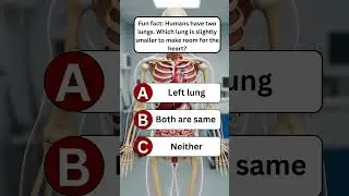 How Good is Your GK? - quiz recap | human body #humanbodyquiz  #gkquiz #triviatricks #brainteasers