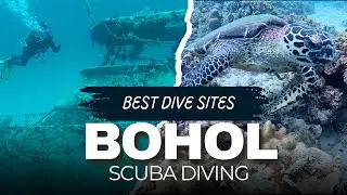 [Eng. Sub.] Bohol Scuba Diving Adventure 2025 : Balicasag Island and Kalipayan Wreck