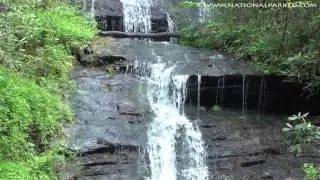 Tom Branch Falls in Great Smoky Mountains National Park (1080p)