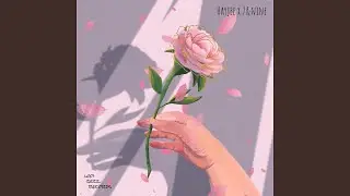 Camelia