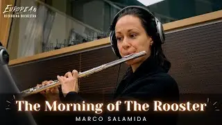 Fantasy/Comedy Music - The Morning of The Rooster