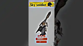 Nature's Most Humiliating Moments | falcon attack #birds #shorts #ytshorts