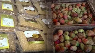 تعرفوا على تعاونيات فلاحية طموحة بمنطقة 