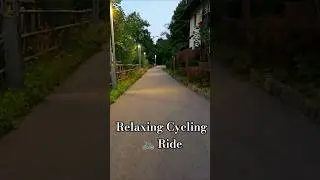 Deer Relaxing Bike 🏍 Ride 4K Short 🇩🇪