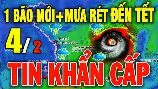 Tin bão Mới Nhất | Dự báo thời tiết hôm nay ngày mai 4/2/2026 | Thời tiết 3 ngày tới #thoitiet