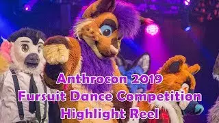 Highlight Reel - AC 2019 Fursuit Dance Competition