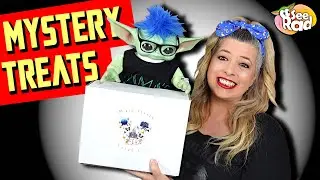 MAIN STREET TREAT CO Group Growers MYSTERY BOX Unboxing -There's Some Grogu Treats Inside!!!!!!!!!