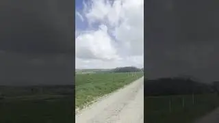 Stroll Through the Paddocks 🌿 | Relaxing Countryside Walk, Nature Sounds & Slow Living