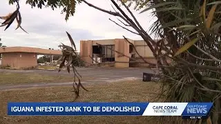 Abandoned bank infested by iguanas in Cape Coral to be demolished