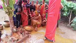 Thakur parivar sadi| mohri Baja dhun | tel haldi khelan| Bastar Madhota sadi|Sadi sort video
