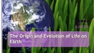 The Evolution Of Early Earths Life: A Thrilling Journey