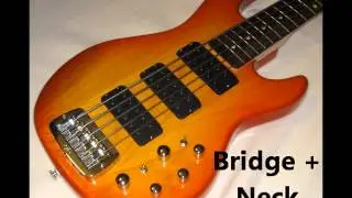 Six Pack Bass Clips