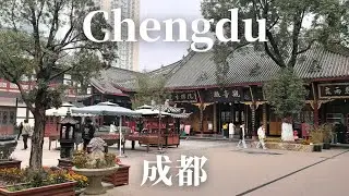 Secret of Chengdu. Friendly & Inclusive Culture. Laid Back City. Cute Panda Bear 🐼