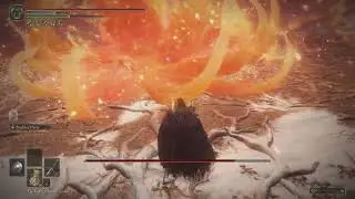 Underleveled Malenia, Tons of Parries