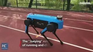 China's new four-legged robot capable of running, climbing stairs