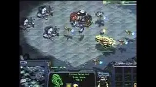 Starcraft Alpha - GameStar