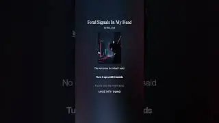 Feral Signals In My Head
