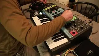 Stranger Moogs