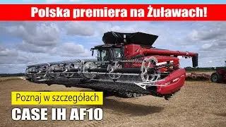 CASE IH AF10 na polskim polu! Żniwa 2025 na Żuławach