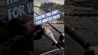 #bassfishing #taxishad #glidebait #swimbait #winter #largemouthbass