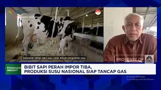 Peternak Rakyat: Butuh Impor 1 Juta Sapi Perah Untuk Swasembada Susu