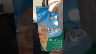 Fluffy has picky taste in cat food.#black cat#9lives