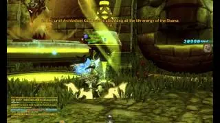 Dragon Nest Assassin Solo Arc Bishop Nest(Ассасин соло логово Кардинала)