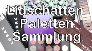 LIDSCHATTEN PALETTEN SAMMLUNG | Alle meine Eyeshadow Paletten | Plus Review