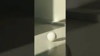 ASMR Ball Rolling Loop | Infinite Satisfying Video
