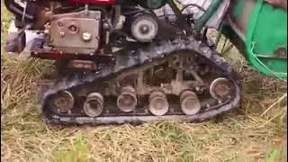 Kent Farms Harvesting in 2020