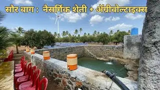 नैसर्गिक शेती ॲग्रीवोल्टाइक्स पाण्याची बचत | Marathi | Mango Farm