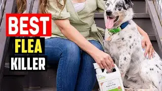 ✅Top 5 Best Flea Killer For Your Yard in 2025