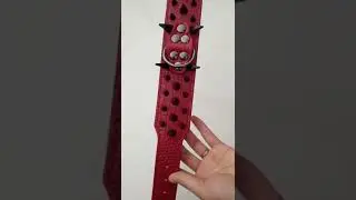Top Selling Spiked Dog Collar