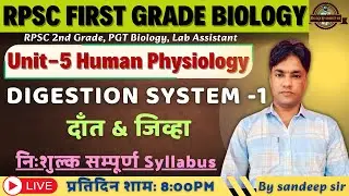 RPSC 1st Grade Biology 2025 | UNIT - V | Human Physiology | Digestive System | Teeth & Tongue
