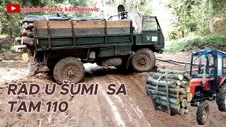 RAD U &Scaron;UMI SA TAM 110 PO PTRA&Scaron;INI IZVOZ METARICE BUKVE...