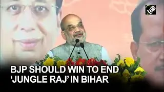 To end &lsquo;Jungle Raj&rsquo; in Bihar, PM Modi should again win by 2/3rd majority: Amit Shah