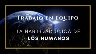 &iquest;Por qu&eacute; los humanos es la especie dominante en tecnolog&iacute;a y ciencia? Comparado con otras especies.