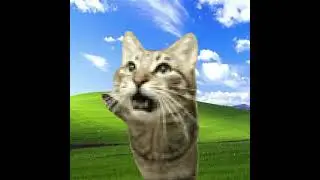 Windows XP Installation Music (MeowSynth Remix)