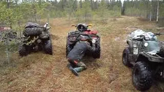 MOV00318