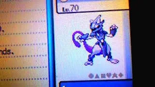 *SECRET* How to Receive Armored Mewtwo